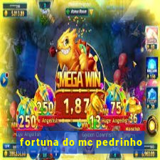 fortuna do mc pedrinho