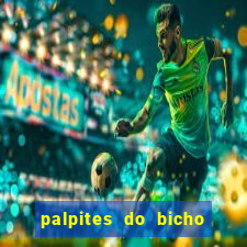 palpites do bicho no celular