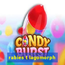 rabies t lagomorph