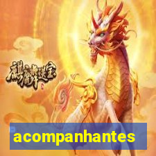 acompanhantes masculino pvh