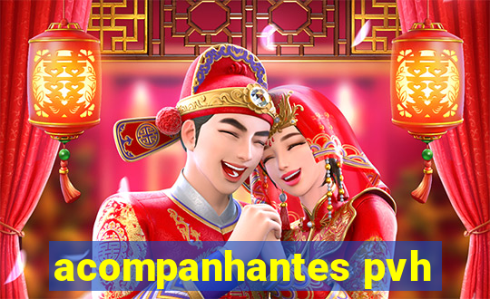 acompanhantes pvh