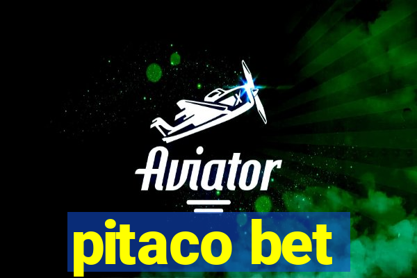 pitaco bet