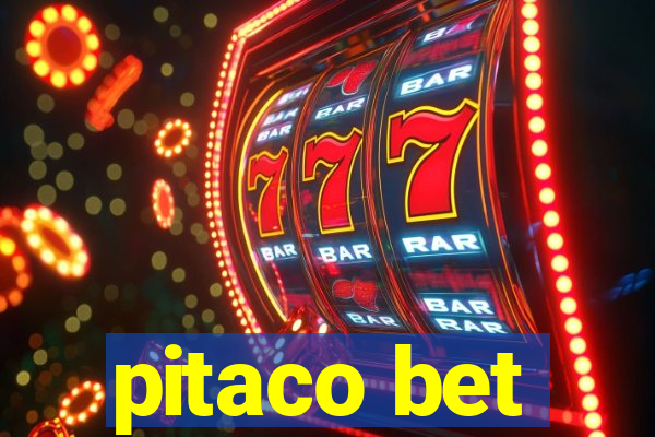 pitaco bet