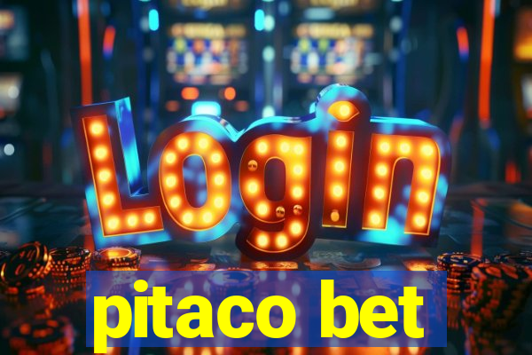 pitaco bet