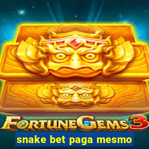 snake bet paga mesmo