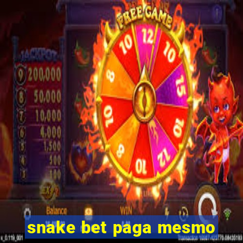 snake bet paga mesmo