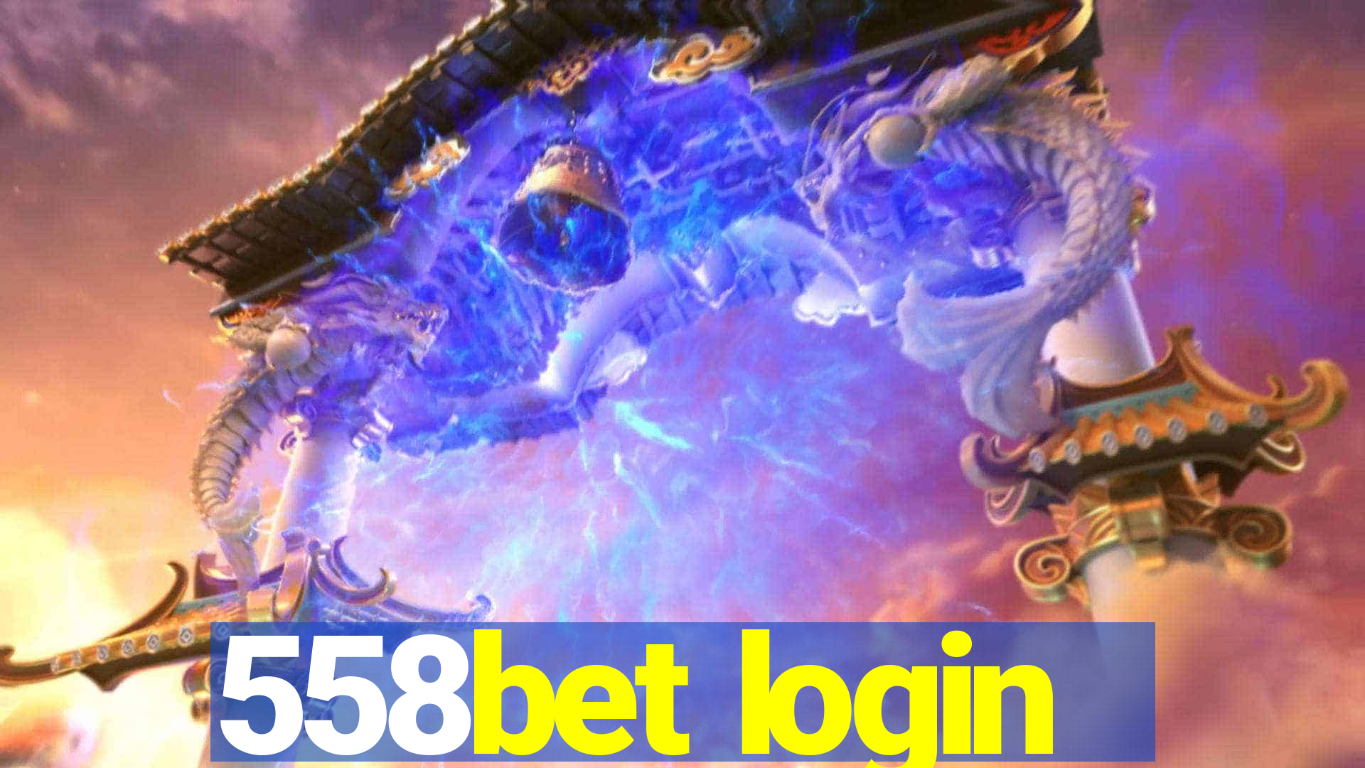 558bet login