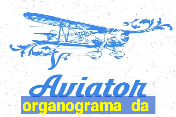 organograma da cacau show