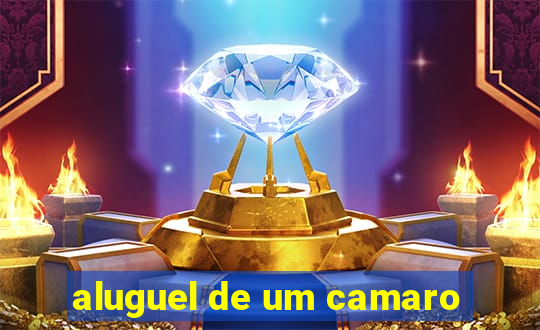 aluguel de um camaro