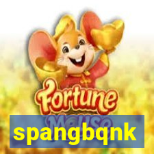 spangbqnk