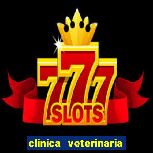 clinica veterinaria cuidar betim