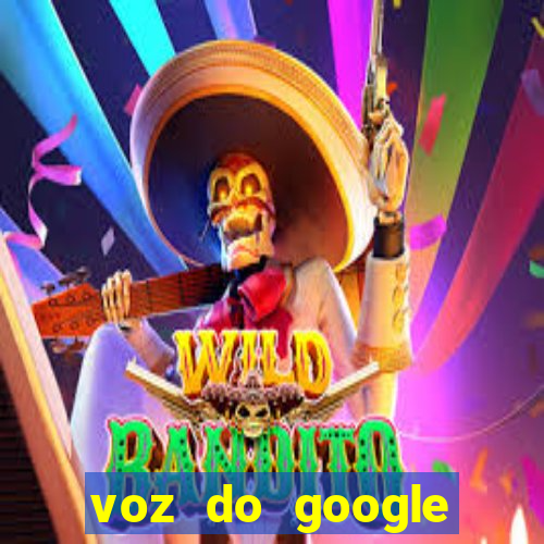 voz do google tradutor homem