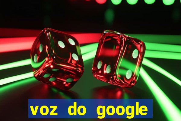 voz do google tradutor homem