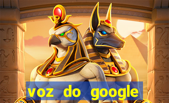 voz do google tradutor homem