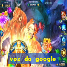 voz do google tradutor homem