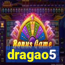 dragao5