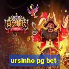 ursinho pg bet