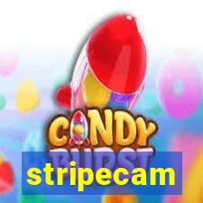 stripecam