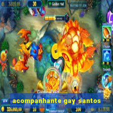 acompanhante gay santos