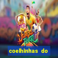 coelhinhas do brasil acompanhantes