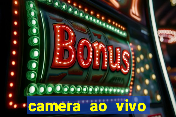 camera ao vivo terminal vila nova cachoeirinha