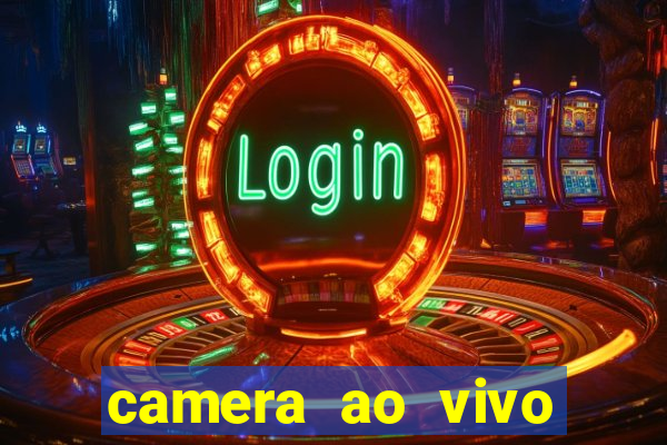 camera ao vivo terminal vila nova cachoeirinha