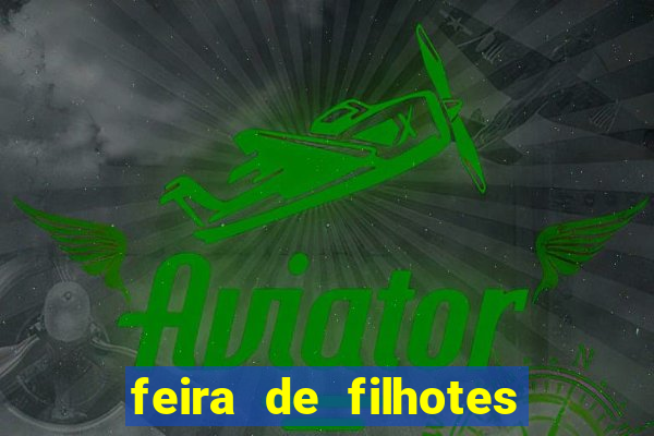 feira de filhotes porto alegre