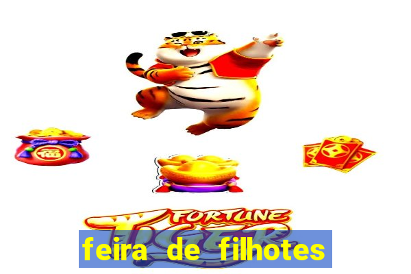 feira de filhotes porto alegre