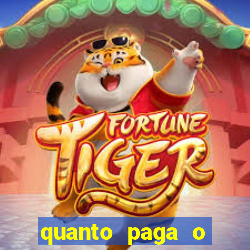 quanto paga o jungle fight