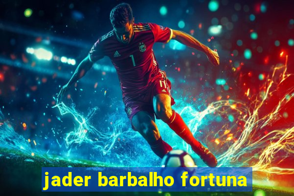 jader barbalho fortuna