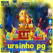 ursinho pg