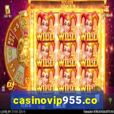 casinovip955.com