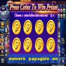 numero papagaio no jogo do bicho