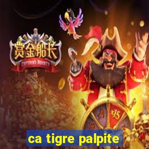 ca tigre palpite