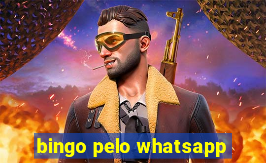 bingo pelo whatsapp