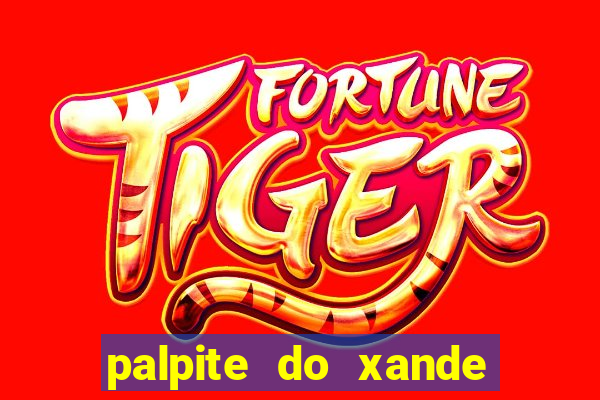 palpite do xande para hoje