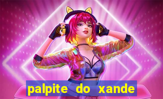 palpite do xande para hoje