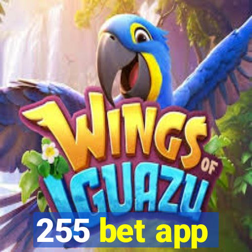 255 bet app