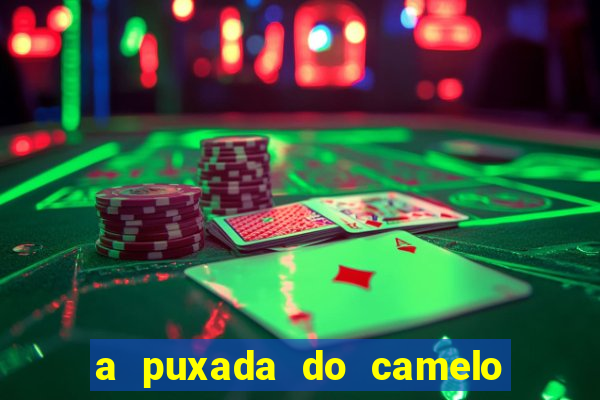 a puxada do camelo no jogo do bicho