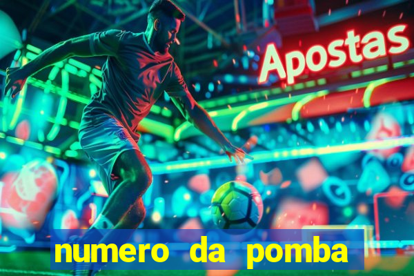 numero da pomba jogo do bicho