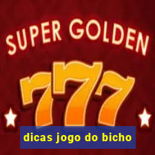 dicas jogo do bicho