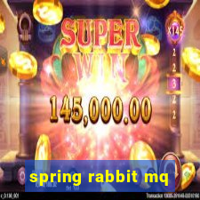 spring rabbit mq