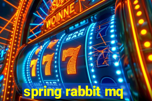 spring rabbit mq