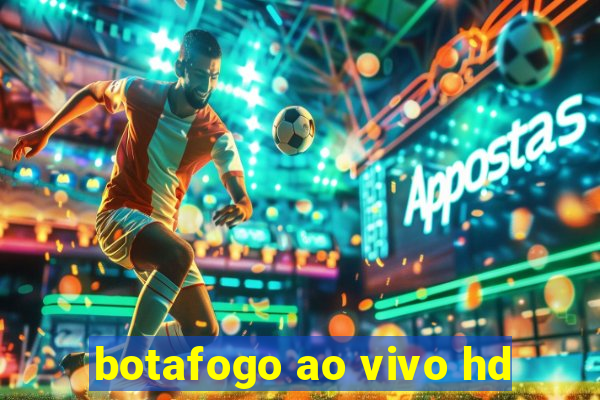 botafogo ao vivo hd