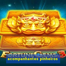 acompanhantes pinheiros