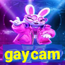 gaycam