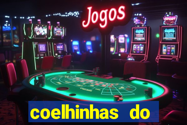 coelhinhas do brasil recife