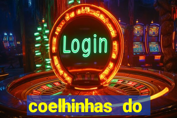 coelhinhas do brasil recife