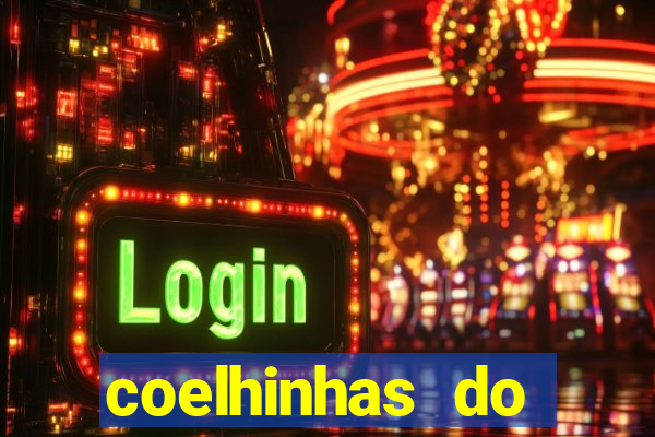 coelhinhas do brasil recife