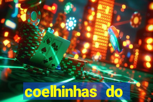 coelhinhas do brasil recife